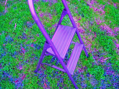 Purple Step Ladder