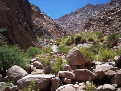 En FiambalÃ¡. Catamarca. Argentina