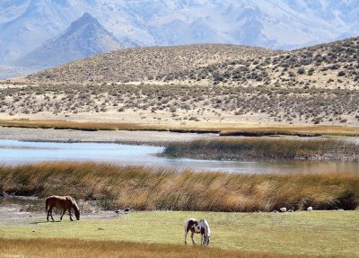 Cerca de Esquel. Chubut. Argentina