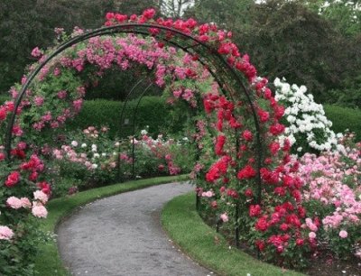 Rose Covered Garden Entrance