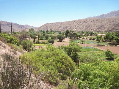 MaimarÃ¡. Jujuy. Argentina