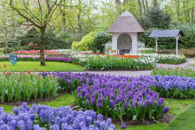 Beautiful Spring Garden