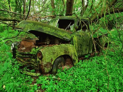 truck-moss-woods_42607_600x450