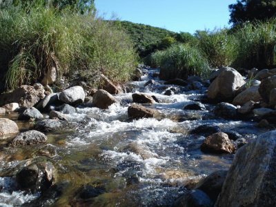 Arroyo Papagayos. San Luis. Argentina