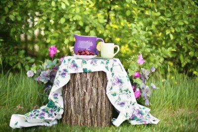 Lemonade Pitcher in the Garden-Still Life