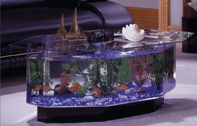 Unique Aquarium Table