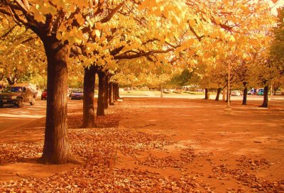 OtoÃ±o en Necochea. Buenos Aires. Argentina