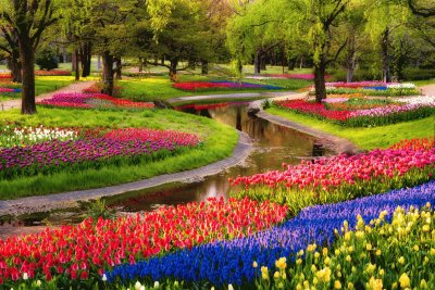 Serpent Tulip Garden-Japan