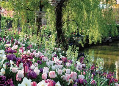 Tivoli Gardens-Copenhagen