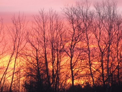 Fiery looking sunrise