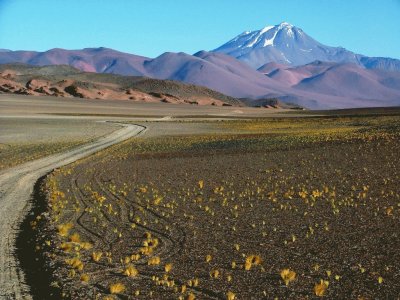 VolcÃ¡n Llullaillaco. Salta. Argentina