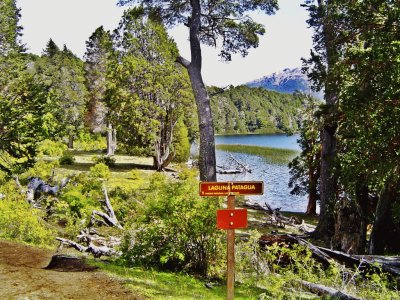 Laguna Patagua. NeuquÃ©n. Argentina