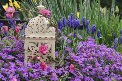 Metal Bird Cage in Spring Garden