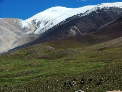 Nevado de Cachi. Salta. Argentina