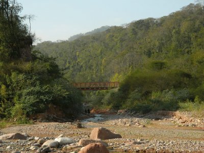 PN Calilegua. Jujuy. Argentina