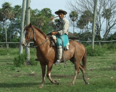 gaucho chaqueÃ±o