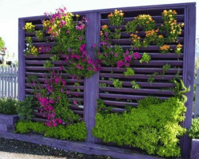 Creative Vertical Gardening