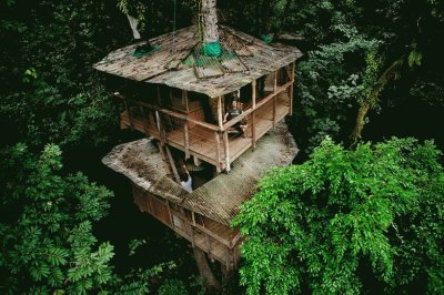 Treehouse-community-finca-bellavista-4