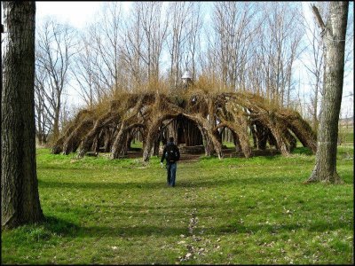 tree shelter