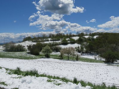 Appennino parmense