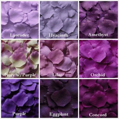 Shades of Purple Petals