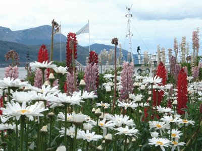 En Ushuaia. Tierra del Fuego. Argentina