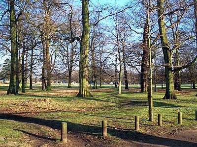 Wollaton Park