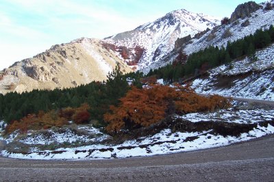 La Hoya - Esquel