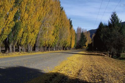 Camino a Lago Puelo