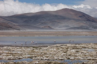 Po San Francisco - Catamarca