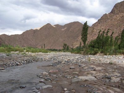 Taton - Catamarca