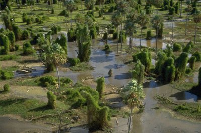 PN RÃ­o Pilcomayo. Formosa. Argentina