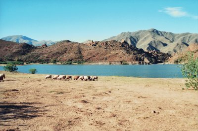 Laguna De Brealito - Salta