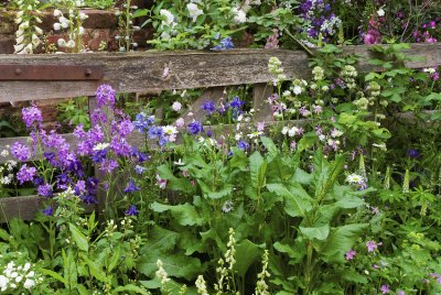 Pretty Spring Flower Garden