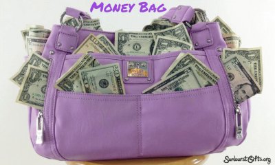 Purple Money Bag-Just what Mom Wants!