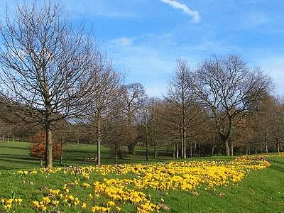 Bramcote Hills Park