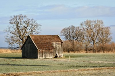 Country Scene