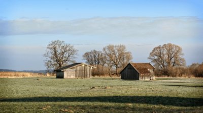 Country Scene