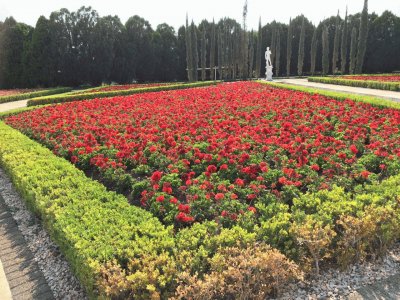 Jardines de MÃ©xico 4