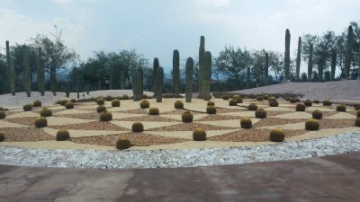 Jardines de MÃ©xico 6