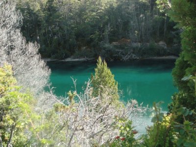 Lago Verde. Chubut. Argentina