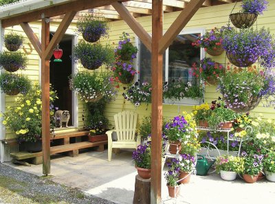 Sweet Purple and Yellow Floral Patio