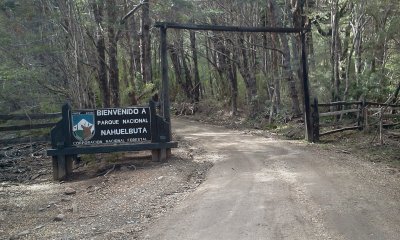 parque de nahuelbuta