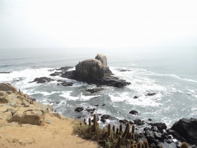 punta  de lobos