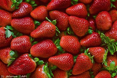 Fresas