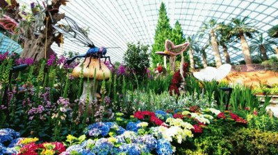 World 's Largest Glass Flower Dome-Singapore