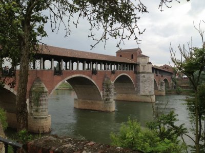 pavia