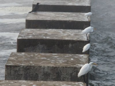 escalera