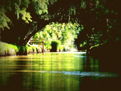 Arroyo Rama Negra. Buenos Aires. Argentina