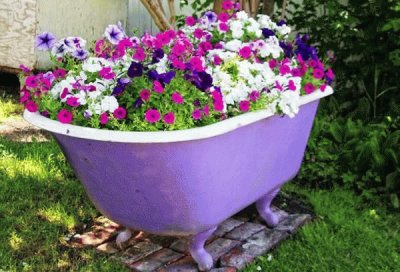 Unique Purple Bath Tub Planter